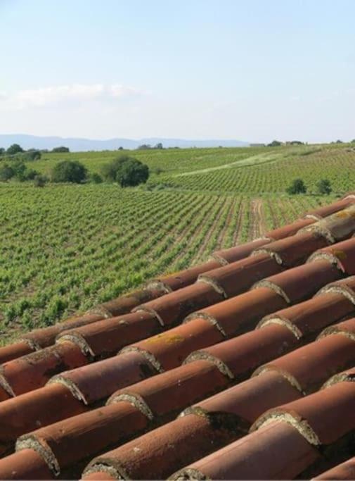 La Maison Des Vendangeurs Canet-en-Roussillon Exterior photo